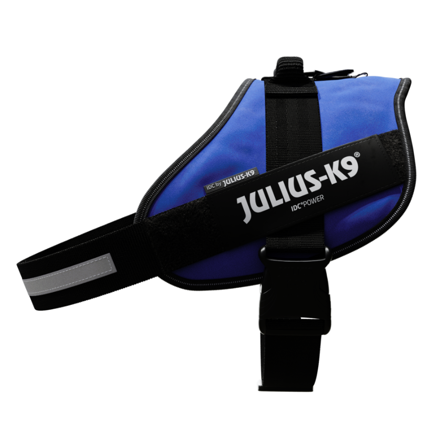 Arn&eacute;s Julius K9 IDC para perros color Azul, , large Imagen numero 3